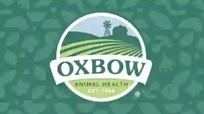 Image Alternative Text
