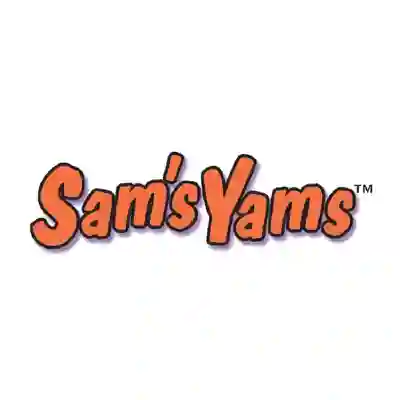 Image Alternative Text