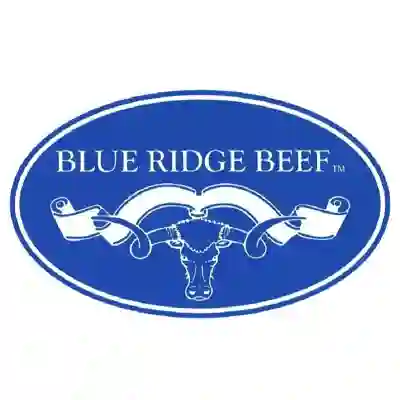 Image Alternative Text