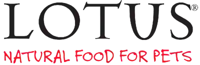 Image Alternative Text