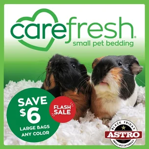 Carefresh | Black F…