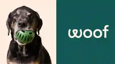 Image Alternative Text